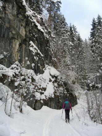 entlang des Klettergartens