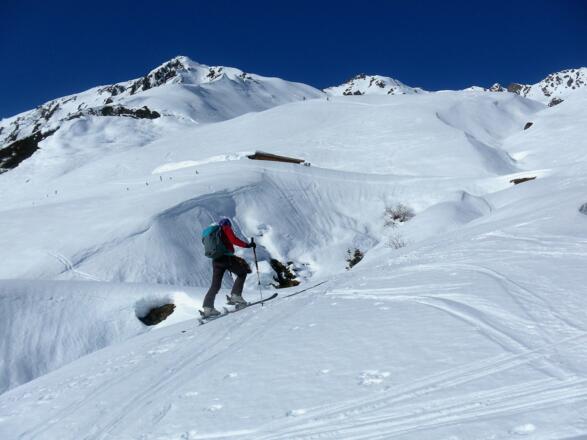 unter der Seefeldalm