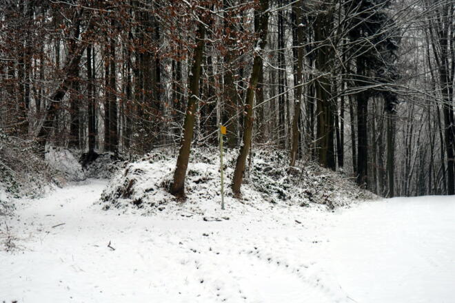 links ab Hohlweg, ~305m