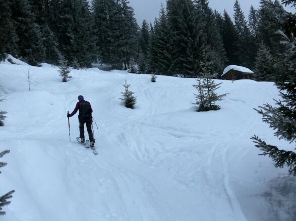Einstieg ins Waldschneisensystem