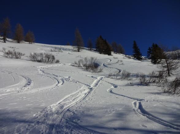 Tolles Skigelände über der Waldgrenze