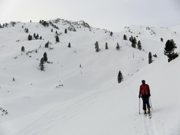 Nähe Foissachalm mit Blick auf den Nordkamm des Regenfeldjochs