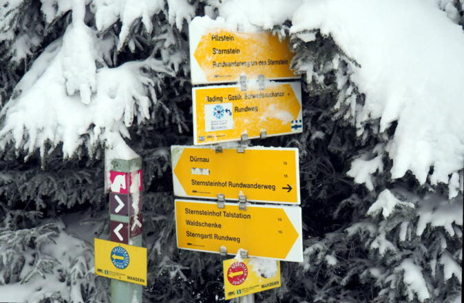 Wegekreuzung Silberhartschlag ~930m