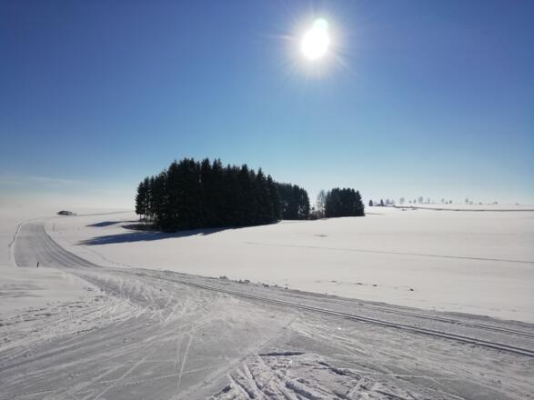 Powertour Pirauloipe Nr. 15 vor Rainbach auf der Variante nach Freistadt