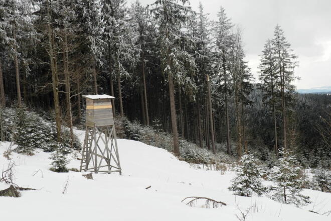 Jagastand mit Forststraße ~970m