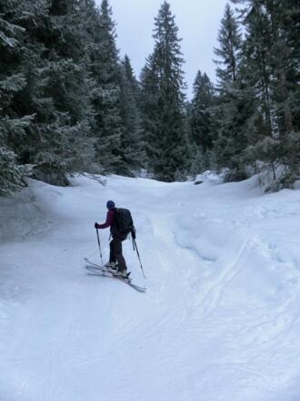 mittelsteile Waldschneisen