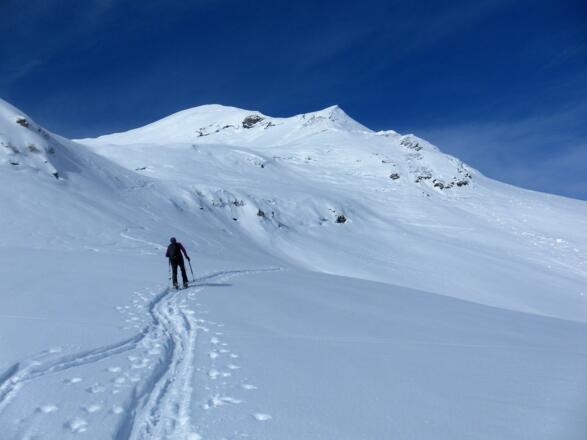 Schwarzer Kranz aus dem Geländerücken