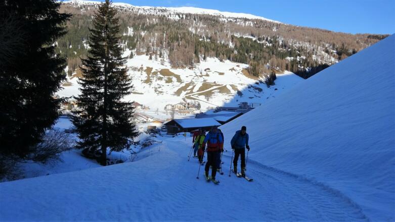 Auf dem Forstweg ...