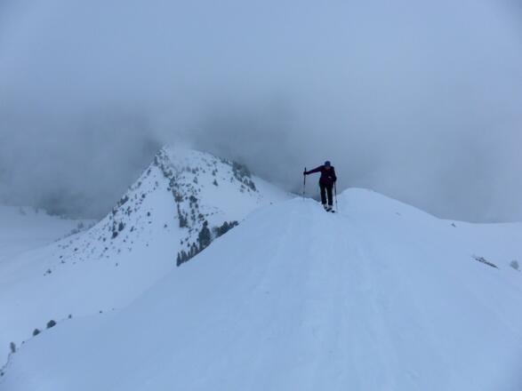 Abendspitze aus dem Ostgratrücken