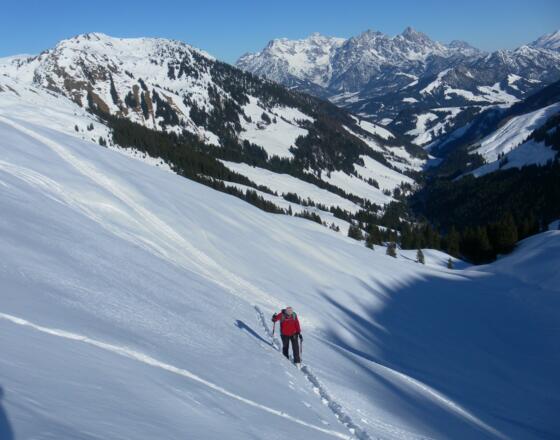 Karkopf aus dem Gaisbergkar, dahinter die Loferer Steinberge