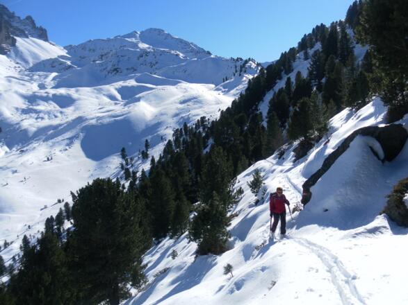 Gamskogel vom Sonntagsköpflanstieg
