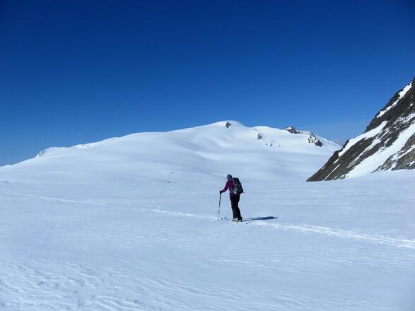 Gepatschferner mit Gipfelrücken der Weißseespitze