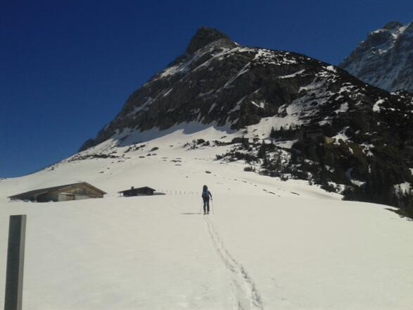 auf der Hochalm kurz vorm Karwendelhaus