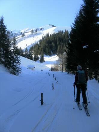Gaisberg aus dem Lengfilzenbachtal