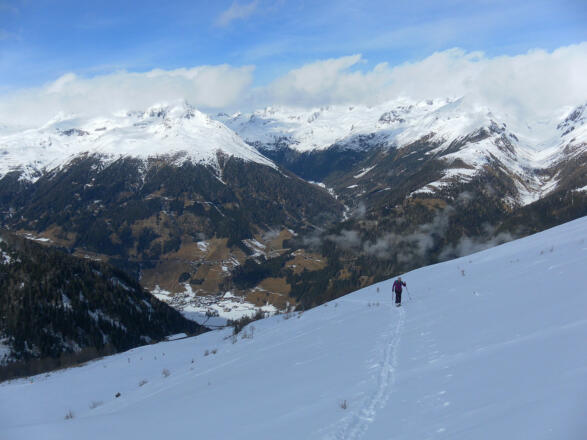 Brunnalmbereich, dahinter Kauschkahorn und Weißes Beil