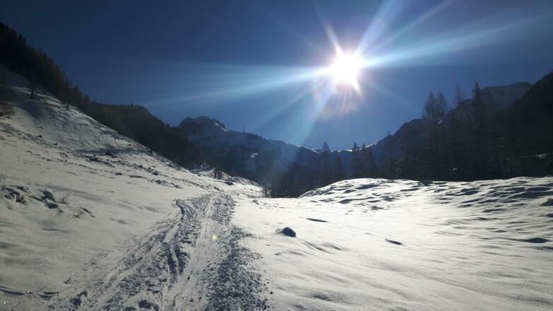 weiter der Forststraße folgen