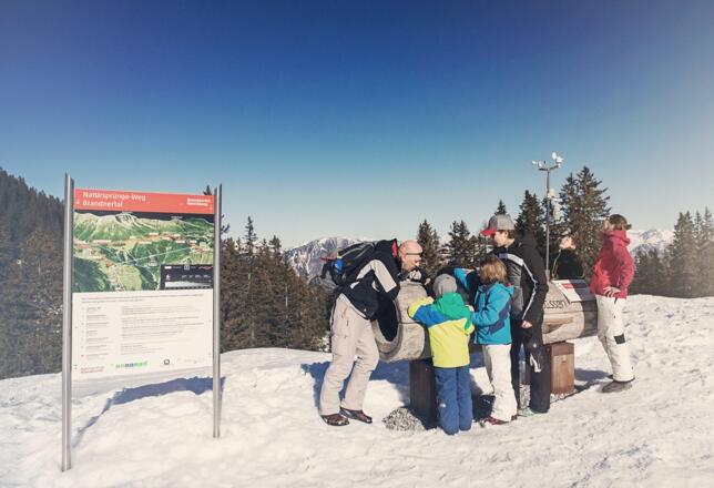 Am Natursprünge-Weg lernt man viel Wissenswertes über die Natur des Brandnertals.