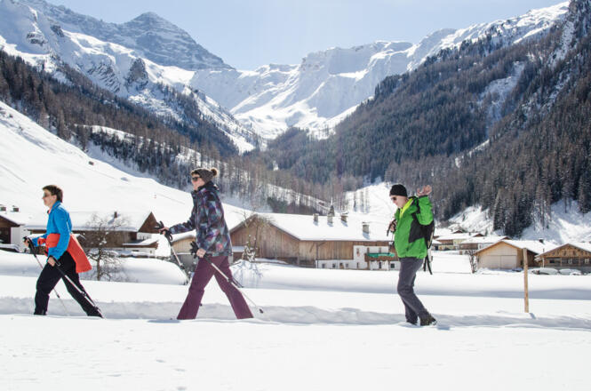 Winterwandern Toldern