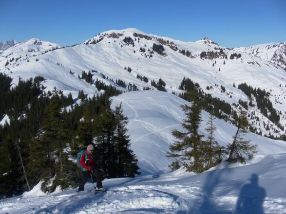 Brunnerkogel und Stuckkogel, links dahinter das Kitzbüheler Horn