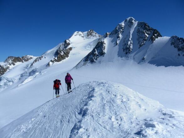 Wildspitze und Brochkogel Nordwand von der Petersenspitze