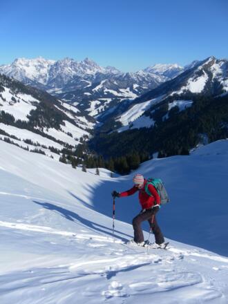 hinter dem Pletzergraben die Loferer Steinberge