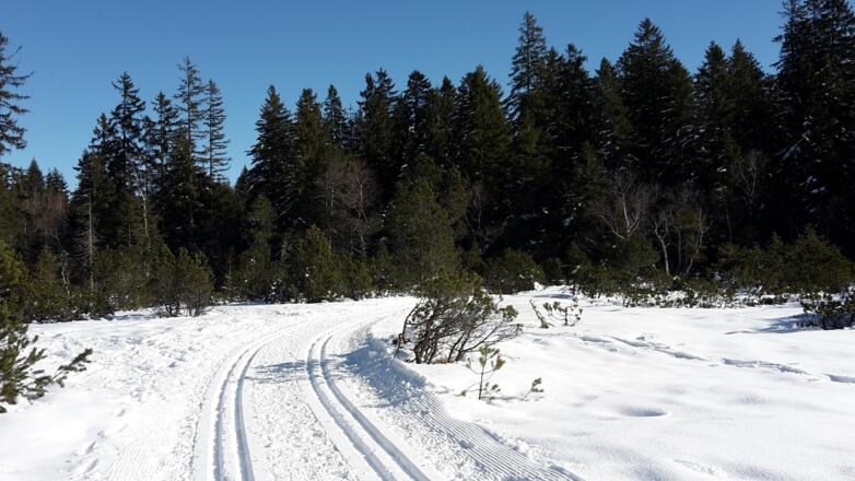 Langlaufloipe Bödele