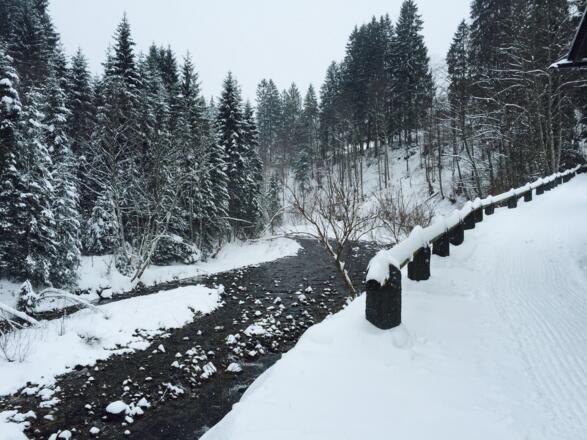 Leidtobel Breitachweg