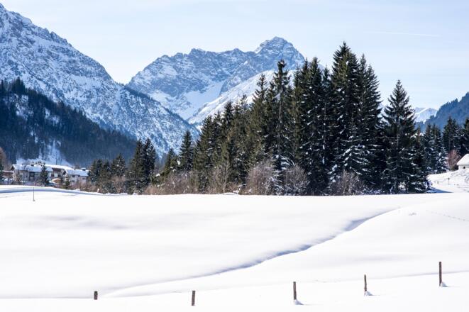 Waeldele Egg Widderstein