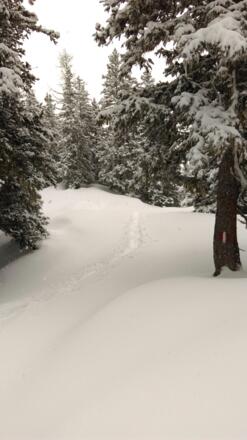 Frisch gespurt, herrlicher Schnee