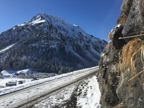 Blick auf den Bärenkopf