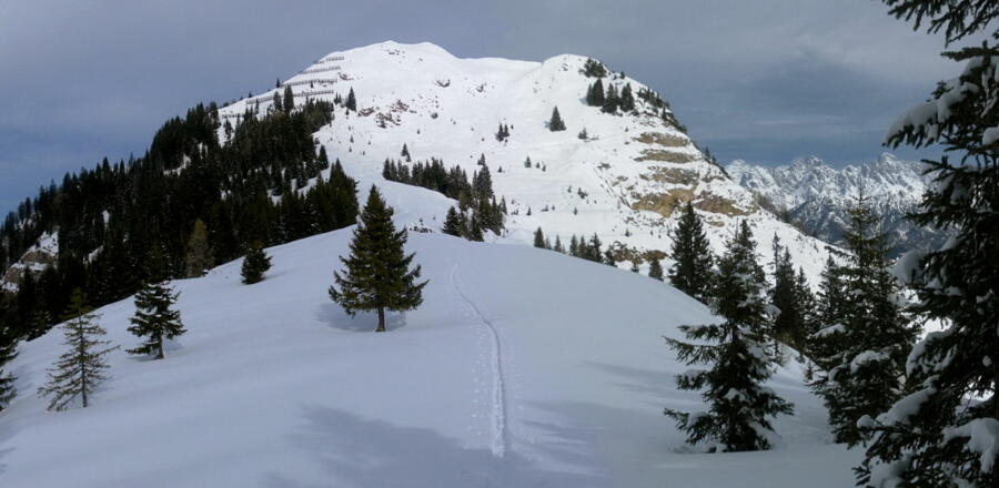 Kammwandern zum Bürglkopf