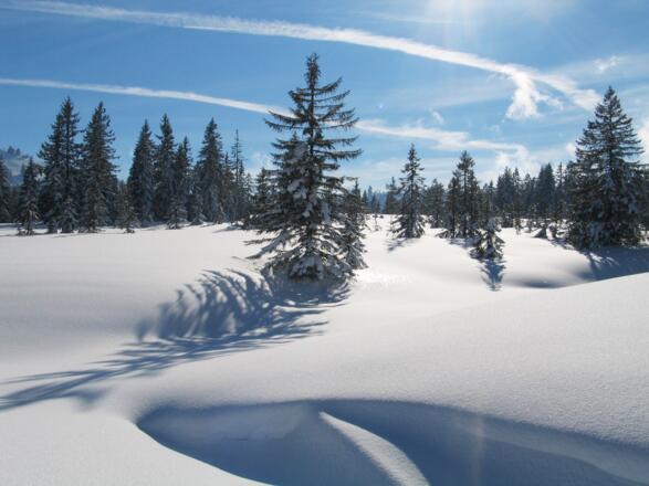 Winter in Riefensberg