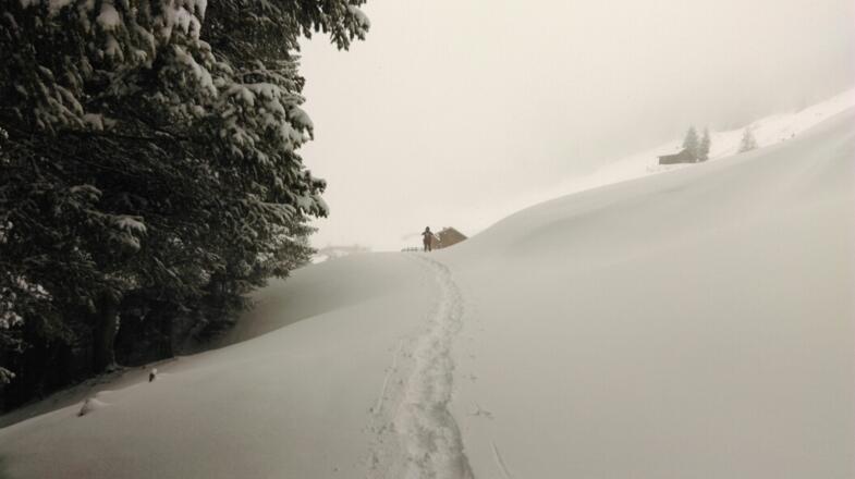 Mitterasten Panorama Alm kommt in Sicht