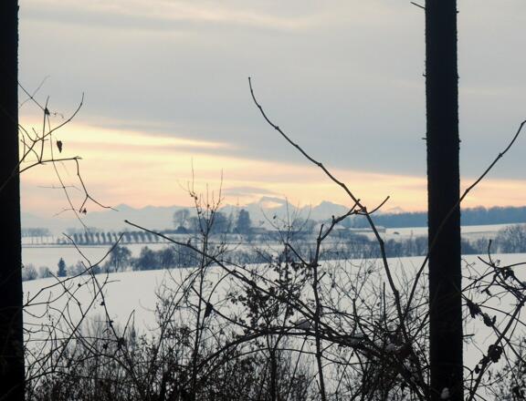 Blick zum Gr. Priel von der Kehre ~330m