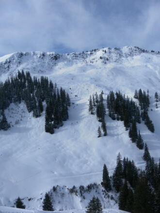 Querung zur Schneise rechts der Mulde
