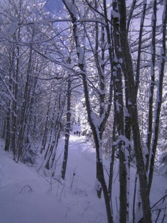 Die ersten Rodler kommen schon wieder runter
