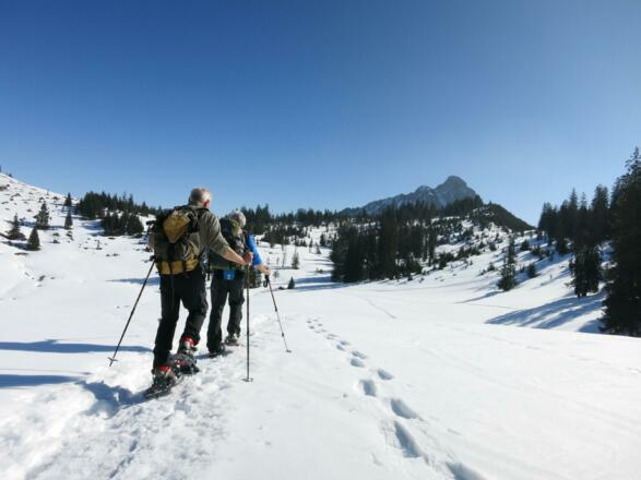 Den Einstein im Blick