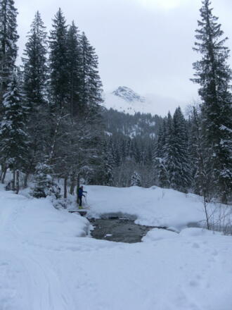 Bachquerung im Wildalmgraben