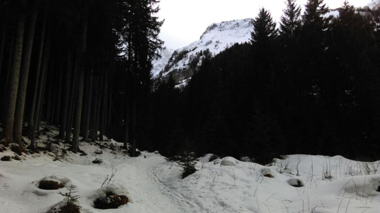 Von der Rodelbahn auf den Schneeschuhtrail