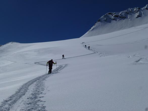 Über den Kleinleitenferner in Richtung Schalfjoch 3375m