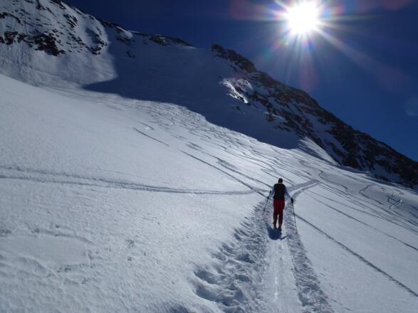 Wir nähern uns im nach wie vor nicht allzu steilen Gletschergelände der Nordflanke an