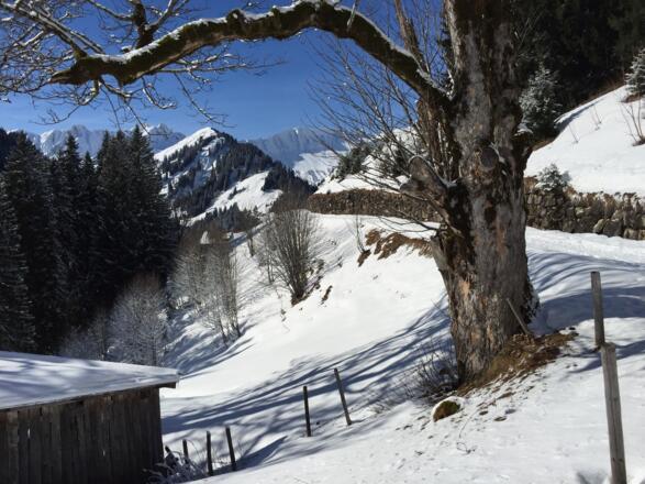 Auf dem Baader Höhenweg