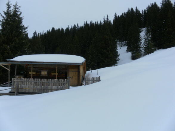 Abfahrt über Wiesen und Schneisen