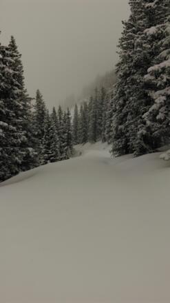 Auf zur Mitterasten Panorama Alm