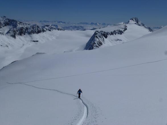 Blick über Kleinleitenferner auf Gurglerferner mit Hochwilde 3480m