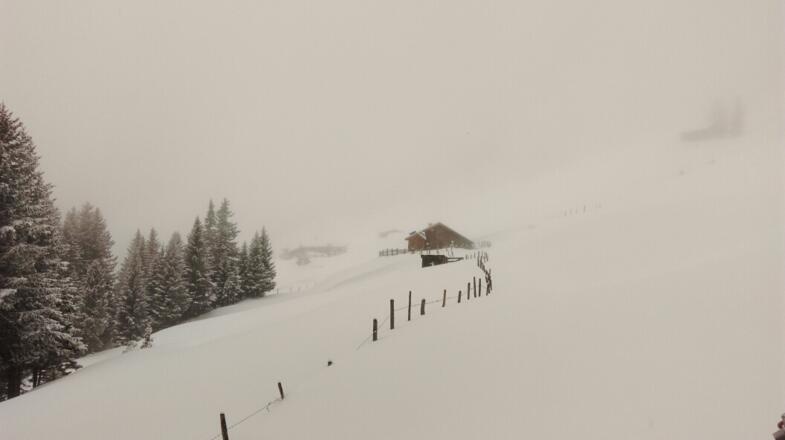 Am Zaun entlang zur Alm