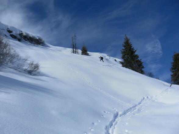steile Mulde zum Kamm