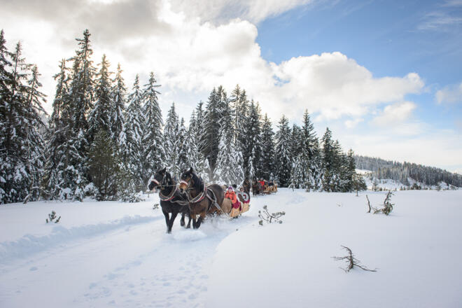 Pferdeschlittenfahrt am Hochhäderich