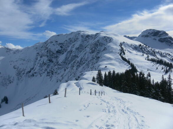 Südrücken Richtung Rauber