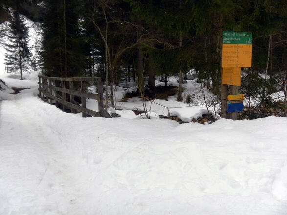 Abzweig aus dem Pletzergraben